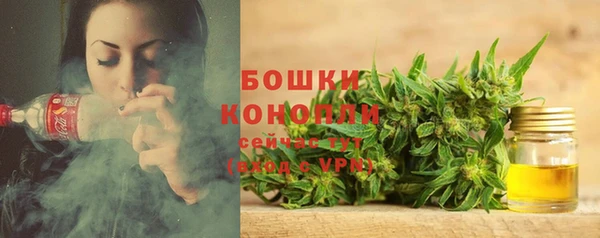 мдпв Богданович