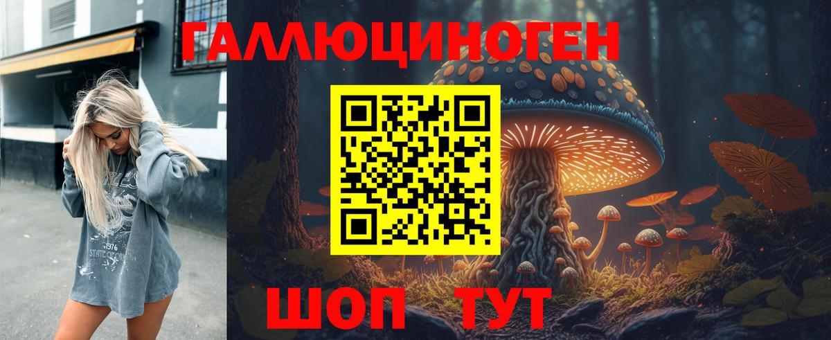 Псилоцибиновые грибы Psilocybe Гатчина